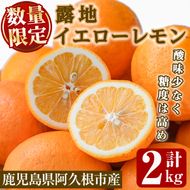 数量限定！露地マイヤーイエローレモン(2kg) 国産 果実 果物 レモン イエローレモン フルーツ 檸檬 柑橘 デザート 期間限定【桐野柑橘株式会社】akn070-10