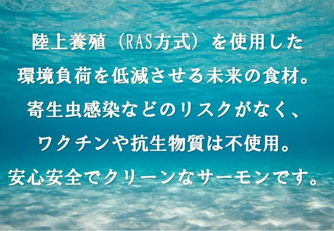 C48【1月24日(金)発送】日本初！今話題の国産アトランティックサーモン「FUJI ATLANTIC SALMON」【生】600ｇ