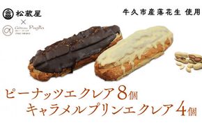 【牛久市産 落花生 使用】ピーナッツ エクレア 8個・キャラメルプリン エクレア4個セット 甘い おいしい 美味しい ピーナツ スイーツ おうちカフェ お菓子 おやつ お取り寄せ 国産 茨城 特産品 [AR006us]