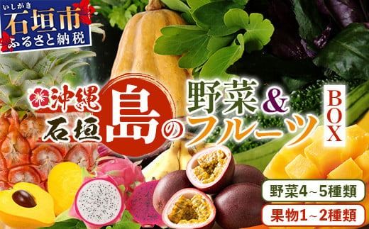 沖縄 石垣島 新鮮 島やさい・くだもの BOX [ 野菜・フルーツ 詰め合わせセット ]1箱 ≪お野菜4〜5種類、フルーツ1~2種類≫