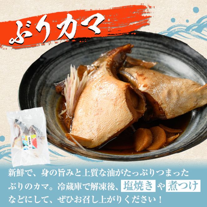 ぶりカマ(計4袋) 鰤 ぶり ブリ カマ 塩焼き 煮つけ おかず おつまみ【まちの灯台阿久根】akn027-24