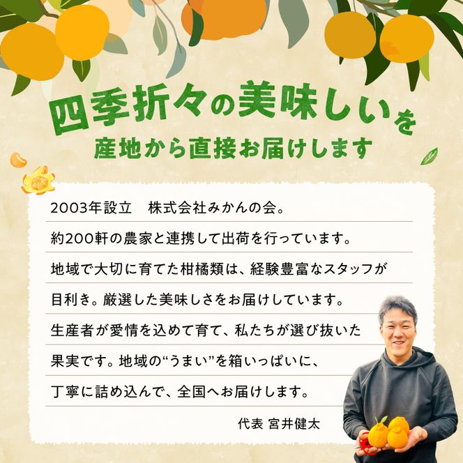 MK1045_2月28日終了！ 最短出荷すぐ届く！みかん Ｍサイズ 秀品 箱込 7.5kg ( 内容量 6.8kg ) 有田みかん 和歌山県産 産地直送 贈答用 【みかんの会】