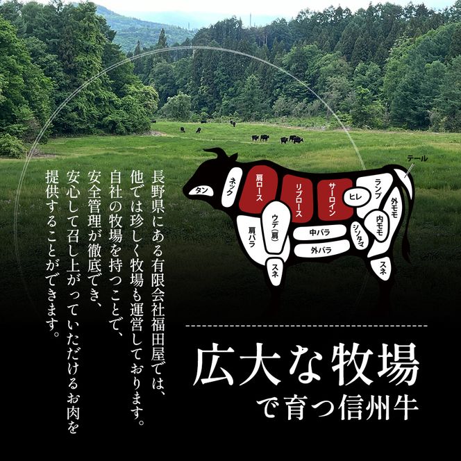 牛肉 すき焼き用 約900g りんごで育った 信州牛 すき焼き しゃぶしゃぶ 黒毛和牛 A5