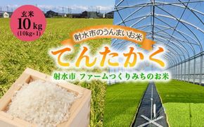 【射水市】【射水の美味しいお米】ファームつくりみちのお米 作道米 R8年度産てんたかく10kg（10kg×1）【玄米】｜米 こめ コメ てんたかく 天高く 玄米 ブランド米 銘柄米 人気 ランキング 富山 富山米 北陸 北陸米 富山てんたかく 北陸てんたかく 玄米てんたかく 10キロ 10キロ米 10kg 10kg米 ※離島への配送不可 ※2026年8月中旬～9月上旬頃に順次発送予定