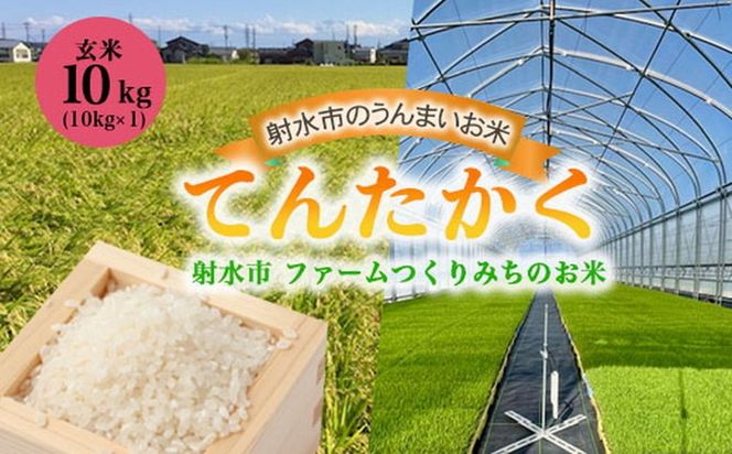 【射水市】【射水の美味しいお米】ファームつくりみちのお米 作道米 R8年度産てんたかく10kg（10kg×1）【玄米】｜米 こめ コメ てんたかく 天高く 玄米 ブランド米 銘柄米 人気 ランキング 富山 富山米 北陸 北陸米 富山てんたかく 北陸てんたかく 玄米てんたかく 10キロ 10キロ米 10kg 10kg米 ※離島への配送不可 ※2026年8月中旬～9月上旬頃に順次発送予定