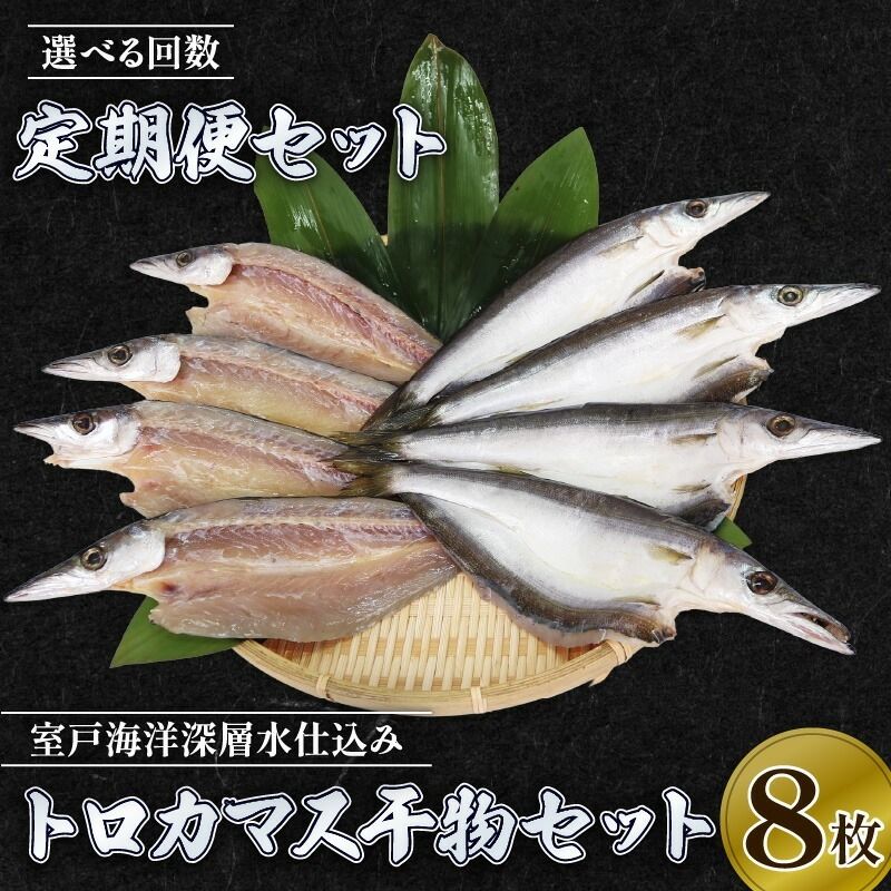 カマス 干物 定期便 トロカマス干物8枚セット|高知県室戸市 冷凍90日目安 偶数6回/奇数6回/毎月12回