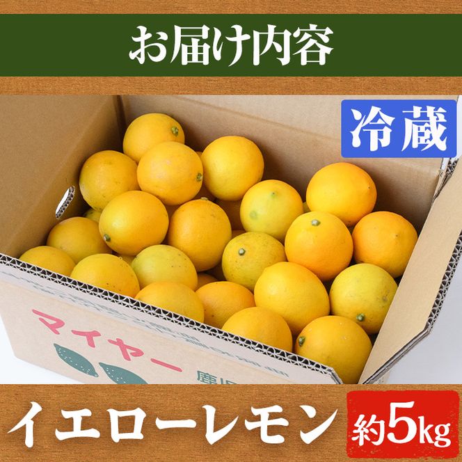 ＜先行予約受付中！2026年4月以降順次発送予定＞数量限定！冷蔵品マイヤーイエローレモン(5kg) 国産 マイヤーレモン 檸檬 オレンジ 果実 果物 フルーツ 柑橘 デザート 期間限定【桐野柑橘株式会社】akn070-13