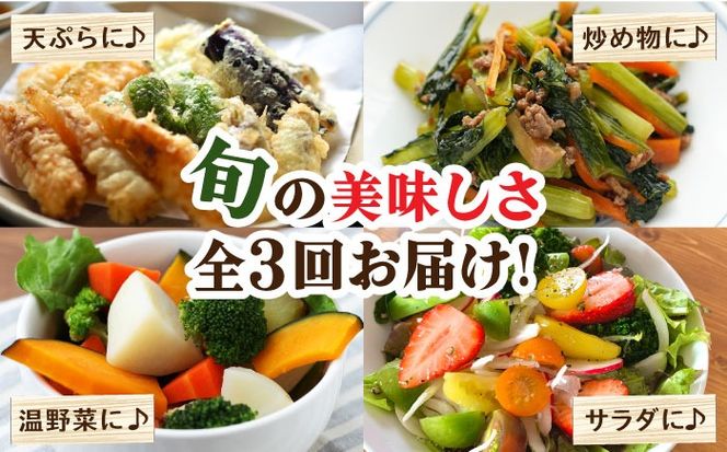【毎月コース】野菜 キノコ 果物 11品目 詰め合わせ 3回定期便 / 野菜定期便 やさい定期便 きのこ セット 定期便 / 南島原市 / 吉岡青果[SCZ022]