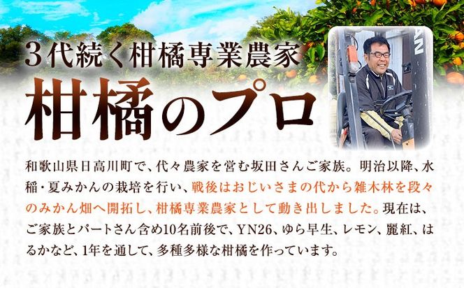完熟みかん 約10kg サイズおまかせ どの坂果樹園《12月上旬-2027年2月上旬頃出荷予定》和歌山県 日高町 みかん 早生 旬 柑橘 フルーツ 果物 蜜柑 ミカン---wsh_dsk53_12j2j_25_18000_10kg---