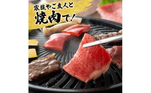 【4ヶ月定期便】宮崎牛赤身定期便B【肉 牛肉 国産 宮崎県産 宮崎牛 すき焼き しゃぶしゃぶ 焼きしゃぶ モモ ウデ 】[D11105t4]