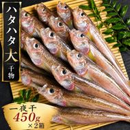 ハタハタ（大）干物 一夜干し 450g ×2箱【配送不可：離島】 魚貝類 海鮮 干物 おつまみ 肴 ハタハタ 酒  myz02 myz09 myz11 myz17 myz23