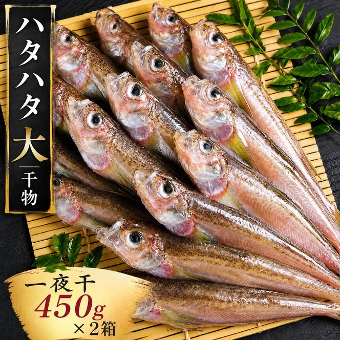 ハタハタ（大）干物 一夜干し 450g ×2箱【配送不可：離島】 魚貝類 海鮮 干物 おつまみ 肴 ハタハタ 酒  myz02 myz09 myz11 myz17 myz23