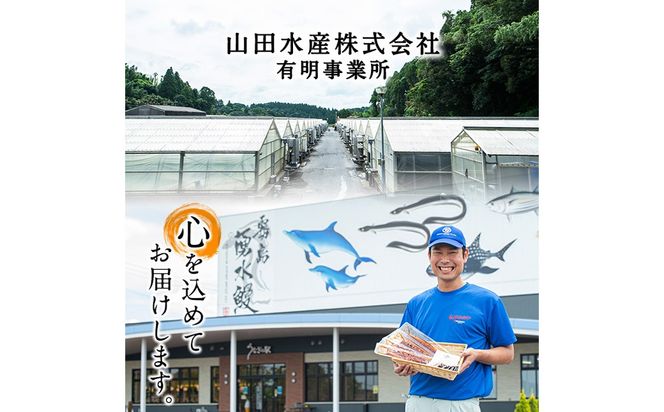 【志布志市制20周年記念】国産 うなぎ肝串＜30本入＞ a5-353