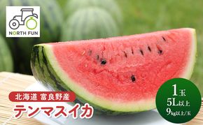 【2027年夏発送】富良野産 テンマスイカ(すいか)[1玉 5L以上 9kg以上/玉] スイカ 果物