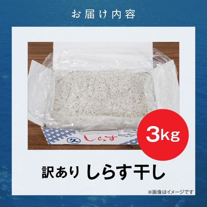 訳あり 3kg！バラエティ豊富な三河しらす H018-069
