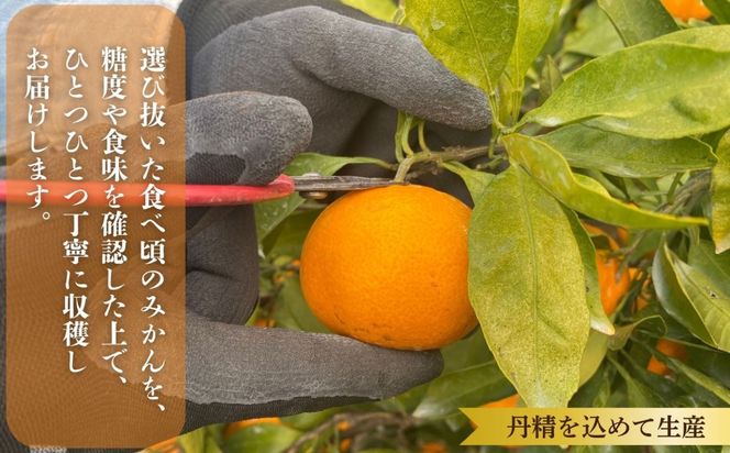 則村園産 有田みかん 2.5kg 温州みかん みかん 蜜柑 甘い 甘いみかん 有田 有田川町 和歌山 EX01