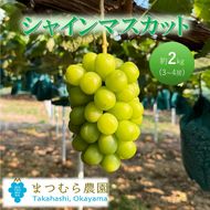 2026年 早期受付 ぶどう シャインマスカット 約２kg（3～4房）大粒  岡山県高梁市産 個装箱入り 葡萄 ブドウ 贈り物