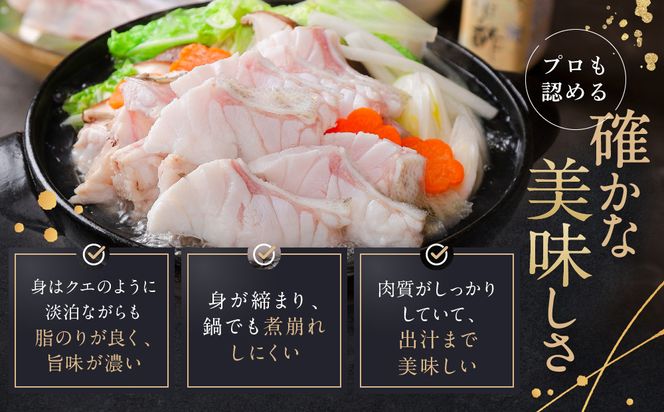 近大クエタマ鍋セット500g（2026年11月下旬～12月中旬発送） 304018_A019