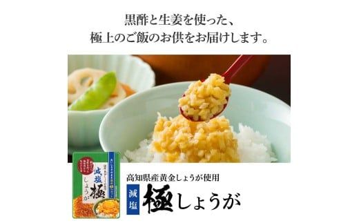 【CF-R7hbk】減塩味付け極しょうが110g×1袋 - 減塩 しょうが ショウガ 生姜 生ふりかけ 坂田信夫商店 黄金しょうが 高知 国産 料理 おかず 調味料 ご飯のお供 混ぜご飯 刻み生姜 健康 話題