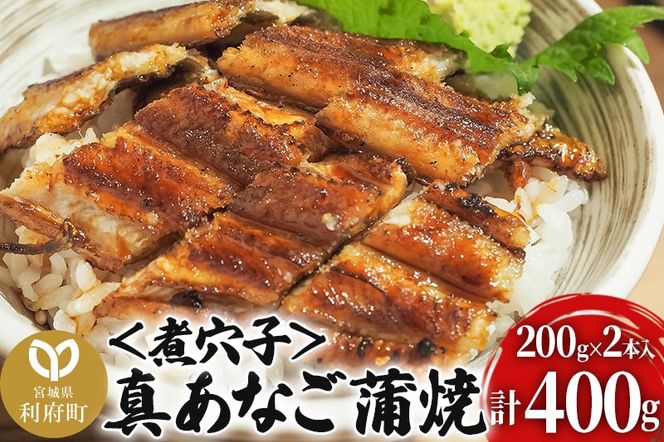 y{錧{z^Ȃāόq 400g ؍Y {錧 {|06_rku-080101