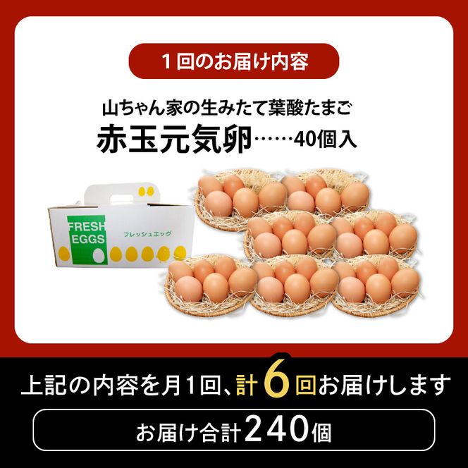 【6ヶ月定期便】【山ちゃん家の生みたて葉酸たまご】赤玉元気卵（40個入り）［132Y08-T］