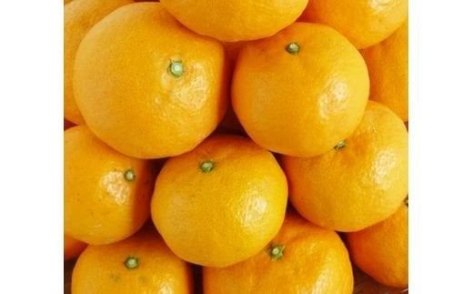 初夏のみかん　なつみ5kg【予約】※2026年4月中旬頃〜2026年4月下旬頃に順次発送予定(お届け日指定不可)【uot501-2】