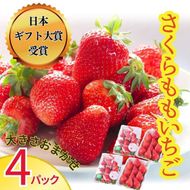 佐那河内村限定！ 「さくらももいちご」 4パック入り 《1月上旬-3月末頃に出荷予定(土日祝除く)》【配送不可地域あり】※離島 | ブランドいちご 産地直送 ギフト大賞 ジューシー 徳島県 佐那河内村---sanagouchi_hss_6_4p---
