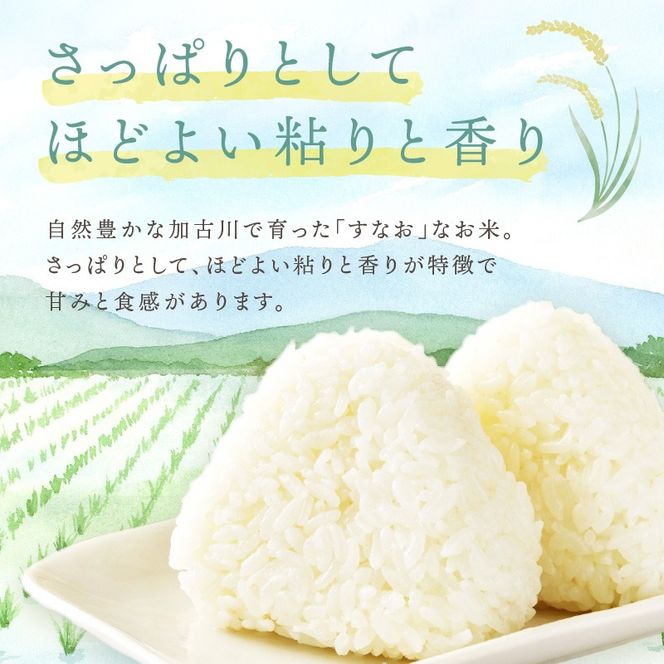 【令和7年産 2025年11月より順次発送】はしもとさんちのお米(10kg)《 お米 米 ヒノヒカリ 精米 お米10kg お米10キロ ごはん ご飯 》【2503B14302】