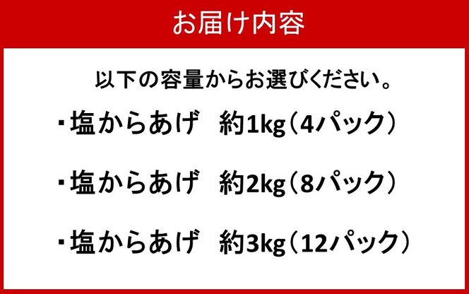 からあげグランプリ金賞受賞！選べる容量 塩からあげ1～3kg_2660R