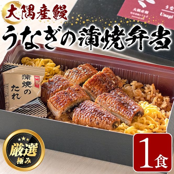 【0085705a】＜おためし＞大隅産鰻の冷凍弁当(冷凍品)(1食分・計240g) うなぎ 高級 ウナギ 鰻 うなぎの蒲焼 蒲焼 国産 ごはん ご飯 お米 おかず 鹿児島 ふるさと レンチン 電子レンジ 【南嘉起屋】