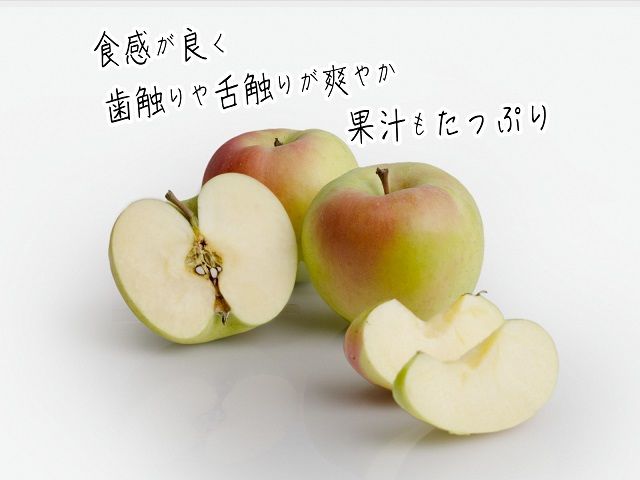 りんご 青森 ぐんま名月 リンゴ 約 5kg (12～16玉) 青森県 鰺ヶ沢町産 ヒバリノ園 フルーツ 果物 果物類 白神山地 林檎 ※オンライン決済のみ 