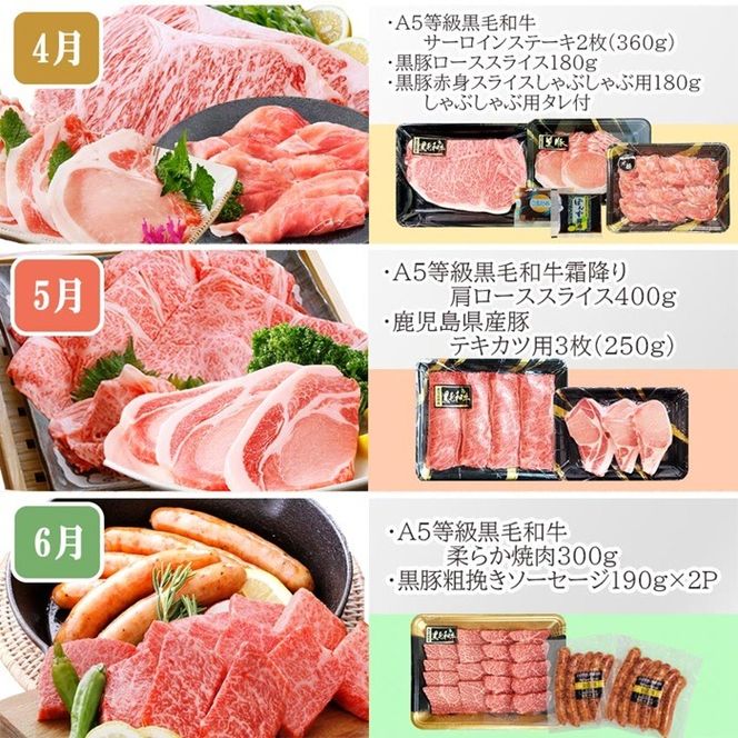 定期便(1年で10回配送)枕崎お楽しみ便(A5等級黒毛和牛・黒豚・黒豚加工品etc) II-6002 【1166753】