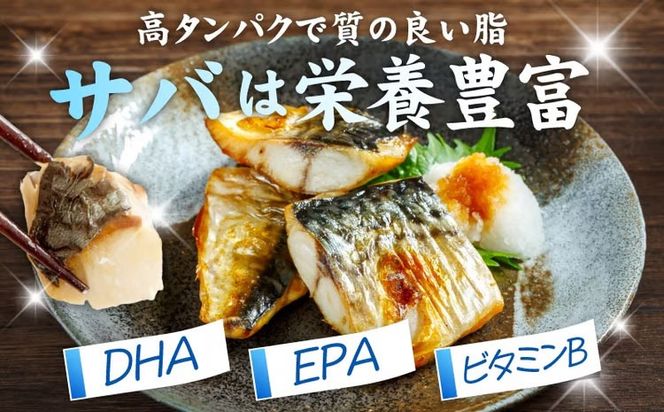 099Z577 【定期便】塩さば 1kg（250g×4P）全6回【お弁当サイズ 生活応援 サバ 小分け 青魚 塩鯖 塩サバ 切身 塩焼き 焼きさば 焼き鯖 人気 冷凍 冷凍食品 おかず 惣菜 訳あり サイズ不揃い】