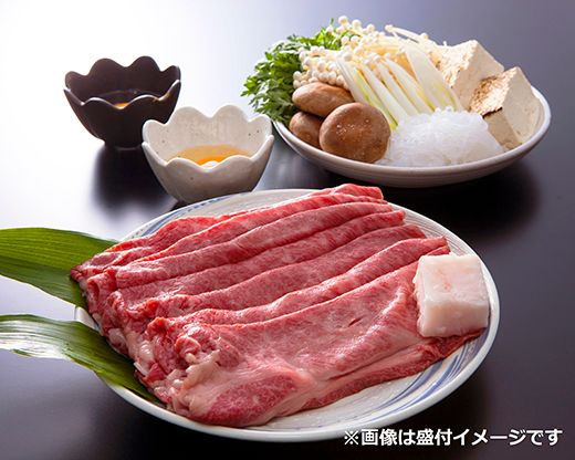 【総本家　肉のあさの】近江牛肩ロースすき焼き用 500ｇ(250ｇ×2)【AE16W】