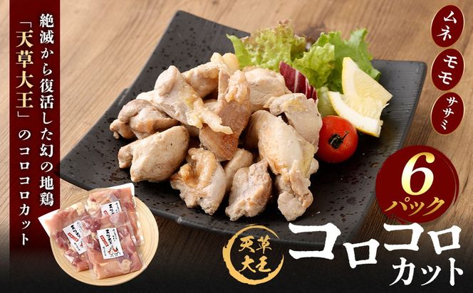 yF{VszV剤 RRJbg 6Zbg 200g×6pbN v1200g {   n{  Jbg Y BY F{Y Ⓚ