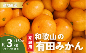 家庭用 有田みかん 和歌山 訳あり わけあり 小玉(2S,3Sサイズ混合) 3kg 【9月下旬～1月下旬頃に順次発送予定】/ みかん フルーツ 果物 くだもの 有田みかん 蜜柑 柑橘【ktn009】