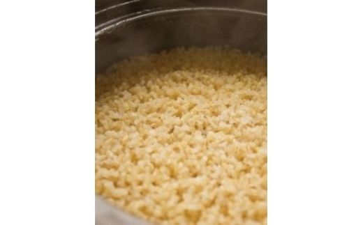 伊賀焼 電子レンジ炊飯土鍋 陶珍かまど「極」二合炊き【ngtn0022】