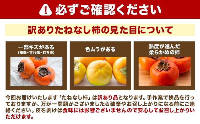 【ご家庭用/訳あり】たねなし柿 約1.5kg 約4kg 約7.5kg《2026年9月中旬-11月上旬頃より出荷予定》 和歌山県 紀の川市 柿 カキ かき ジューシー フルーツ---wfn_wlocal62_9c11j_25_4500_1500g---