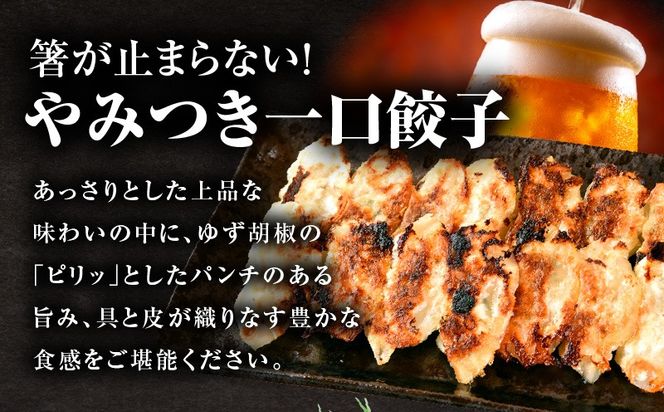 【4回定期便】一口餃子 50 個入りタレ１個（3か月に1回お届け）_kn107-t004