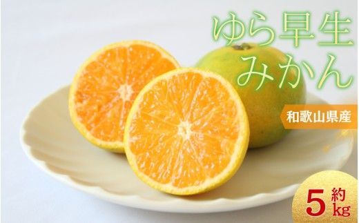 ＼光センサー選別／＼農家直送／甘くて濃厚！希少品種 ご家庭用 ゆら早生みかん　約5kg　サイズ混合　※2026年10月末で申込締切 /ミカン 蜜柑 柑橘 フルーツ くだもの 果物 早生 温州 【nuk109E】