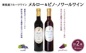 メルローとピノ・ノワールの詰合せ 500ml×2本セット 山形県 東根市 合同会社 Fruit Winery Esprit提供 hi108-006