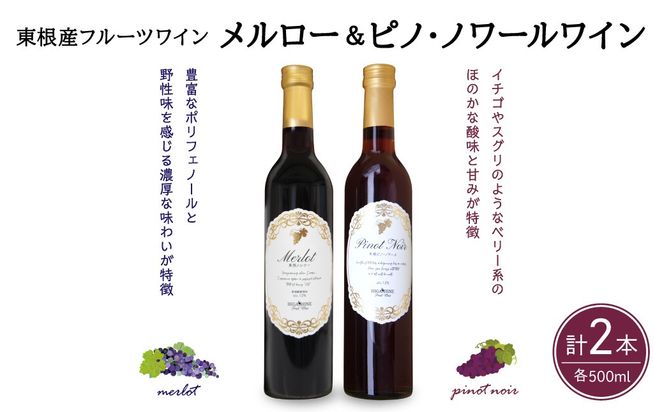 メルローとピノ・ノワールの詰合せ 500ml×2本セット 山形県 東根市 合同会社 Fruit Winery Esprit提供 hi108-006