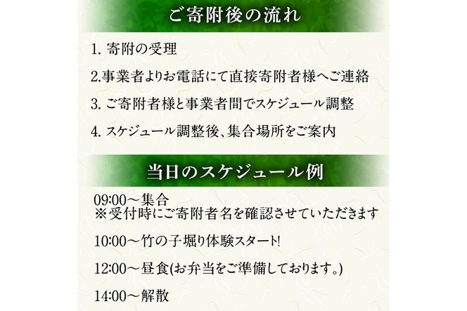 a931 ＜先行予約受付中！2027年3月中旬～4月中旬まで体験分＞竹の子堀り体験(1名様：昼食・タケノコ5kgお持ち帰り付) たけのこ タケノコ 筍 竹の子 体験 【夢竺山株式会社】