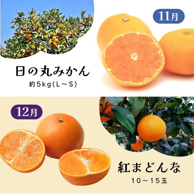 【定期便】えひめかんきつ定期便 全6回 ＜みかん 柑橘 フルーツ 定期便 国産 愛媛県 ＞ ※2026年11月～発送
