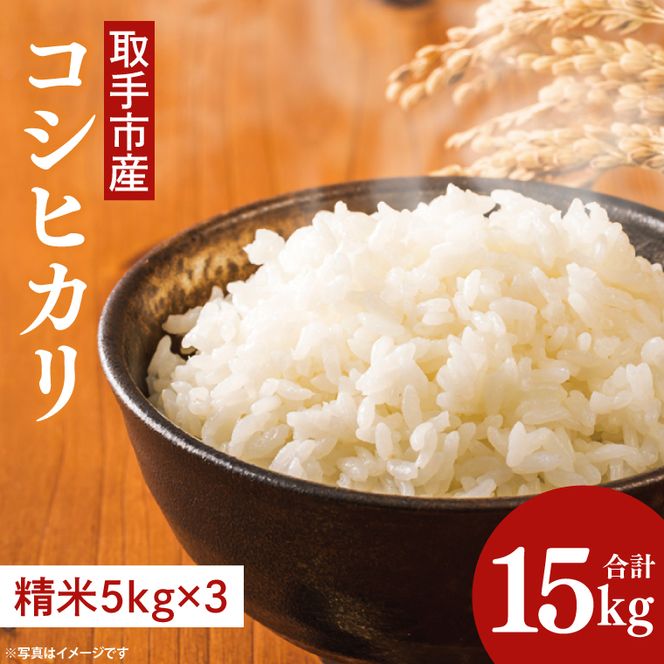 【令和8年度産】取手市産 コシヒカリ 15kg | 米 精米 白米 こしひかり JA 茨城県 取手市 （AR002）