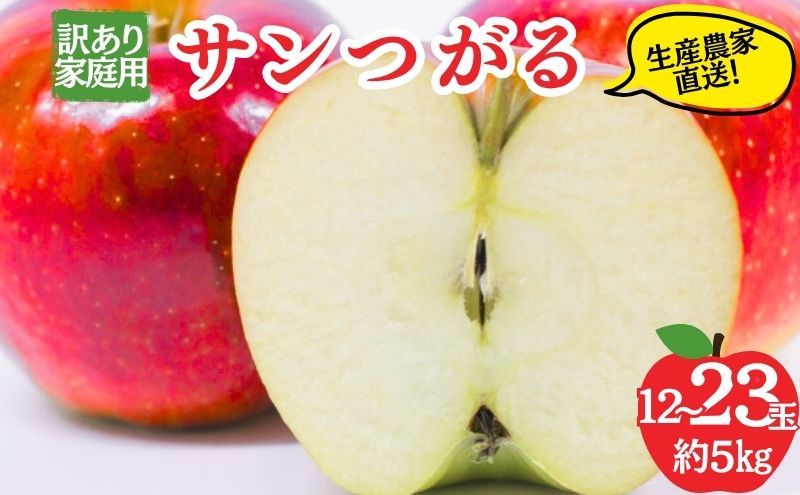 [レビューCP実施中][2026年8月〜発送]サンつがる 訳あり家庭用 約5kg 12〜23玉 りんご 果物 訳あり 信州 長野