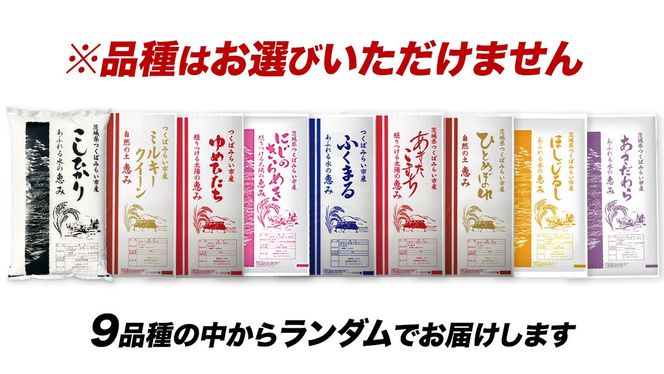 品種おまかせ 5kg 令和7年産米 茨城県つくばみらい市産 精米 こしひかり コシヒカリ あきたこまち ひとめぼれ ふくまる ゆめひたち ミルキークイーン にじのきらめき ほしじるし あきだわら 米 コメ こめ 単一米 限定 茨城県産 国産 美味しい お米 おこめ おコメ