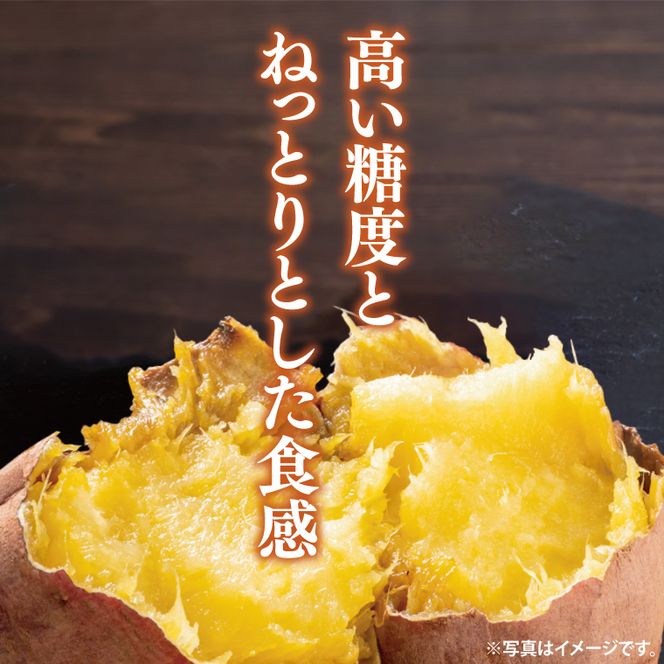 【2025年9月より順次発送】さつまいも(紅はるか) 約5kg｜さつまいも 芋 サツマイモ 紅はるか 先行予約 茨城県 行方市(HP-1)