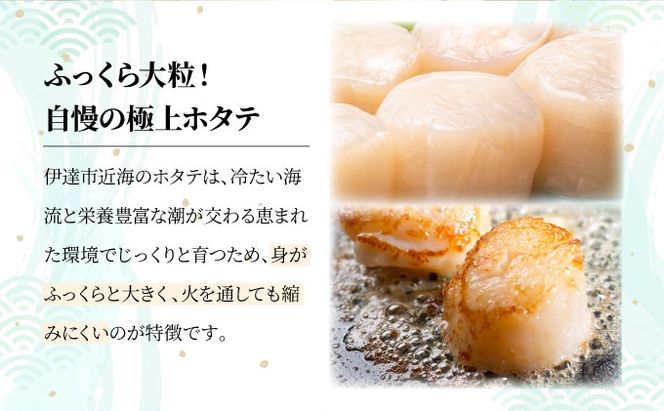 ほたての玉冷 1kg（SSサイズ～Lサイズバラエティーセット）