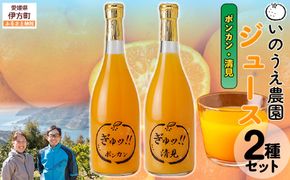 いのうえ農園 ジュース2種セット（ポンカン/清見）※離島への配送不可 IKTAI021